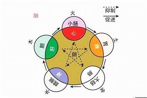 尚五行|尚字五行属什么 尚在五行中属什么